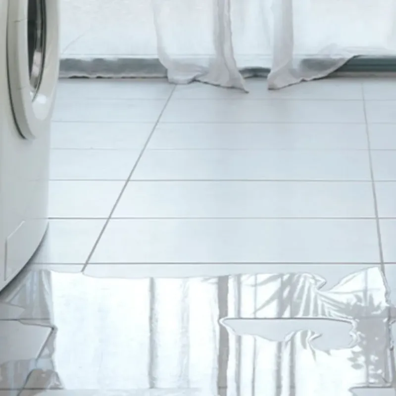 Appliance Leak Cleanup in North Corbin, KY