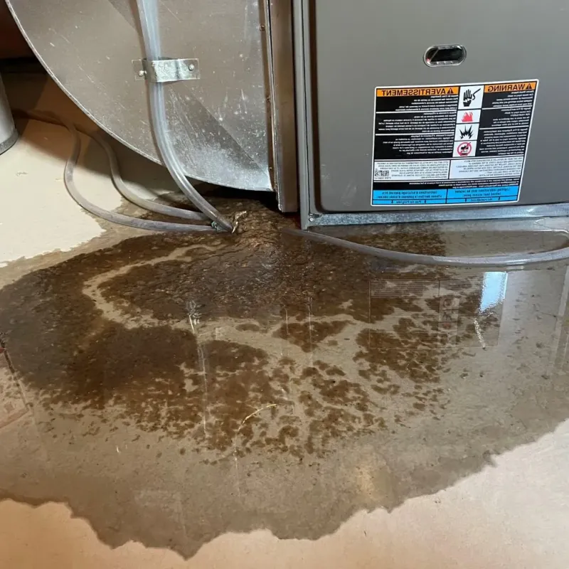 Pipe Burst and Leak Restoration in North Corbin, KY