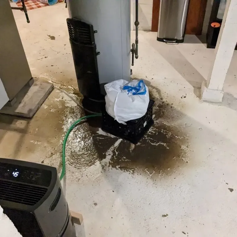 Sewage Backup Cleanup Service in North Corbin, KY
